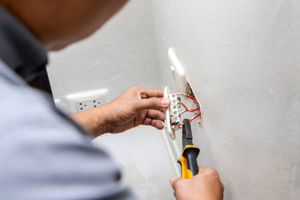 Best Electric Panel Repair  in Forest Park, OH